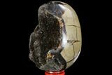 Septarian Dragon Egg Geode - Black Crystals #109972-3